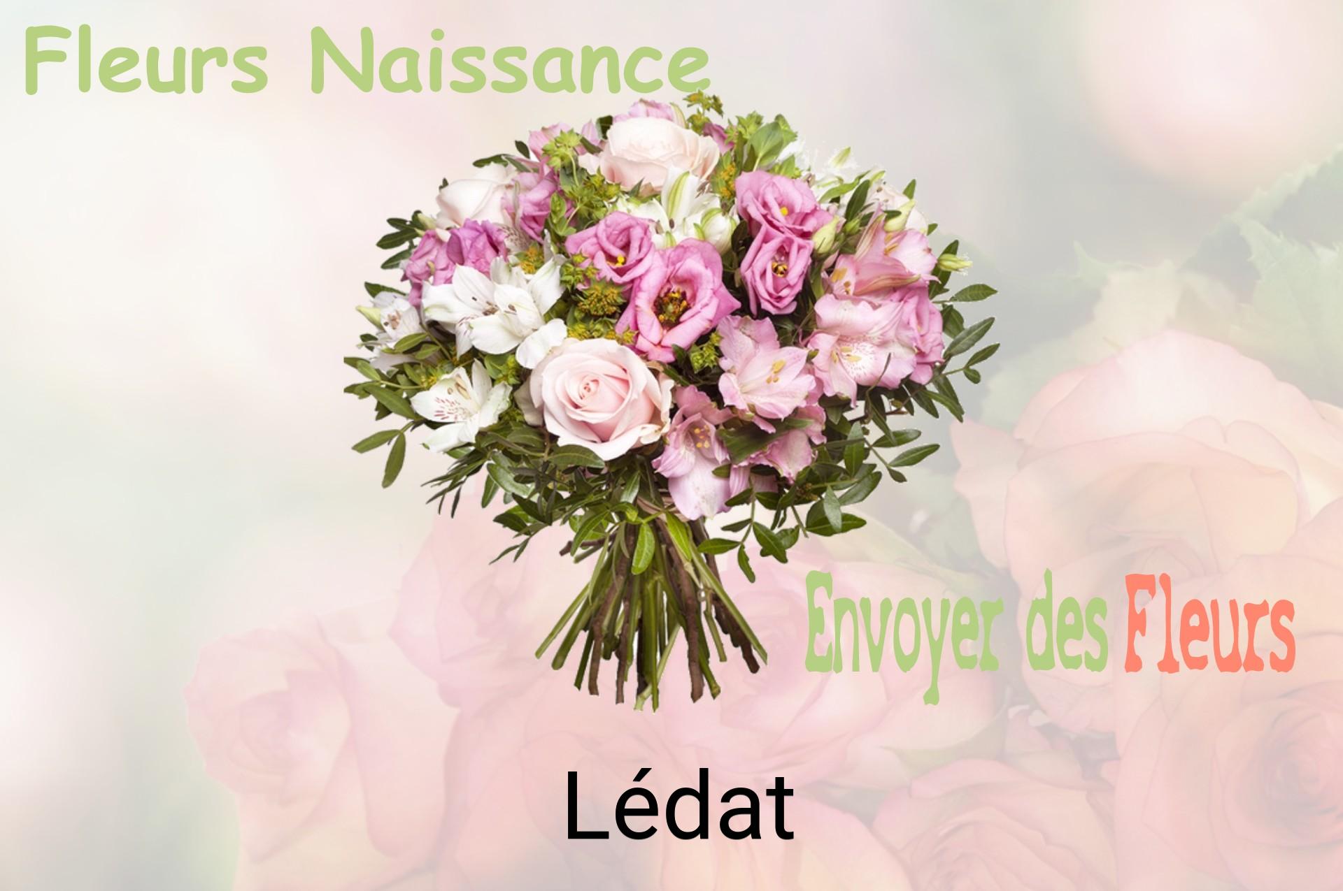 Bouquet de fleurs de naissance livré à Lédat